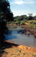 Mali-Sngal