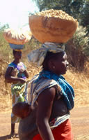 Mali-Sngal