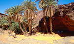 Mauritanie
