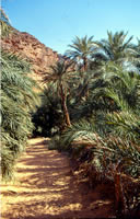 Mauritanie