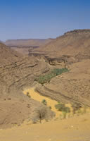 Mauritanie